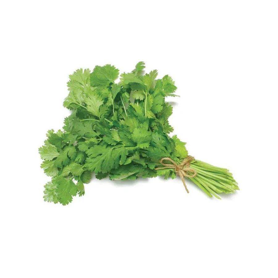 Premium dried coriander seeds, whole and natural spice