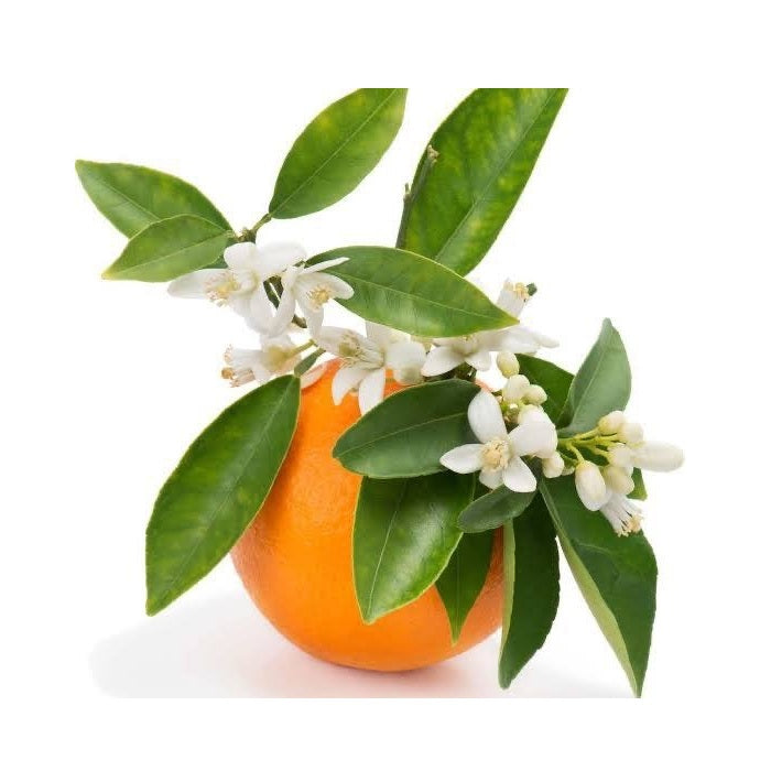Premium orange blossom water extract, natural and aromatic for culinary use.