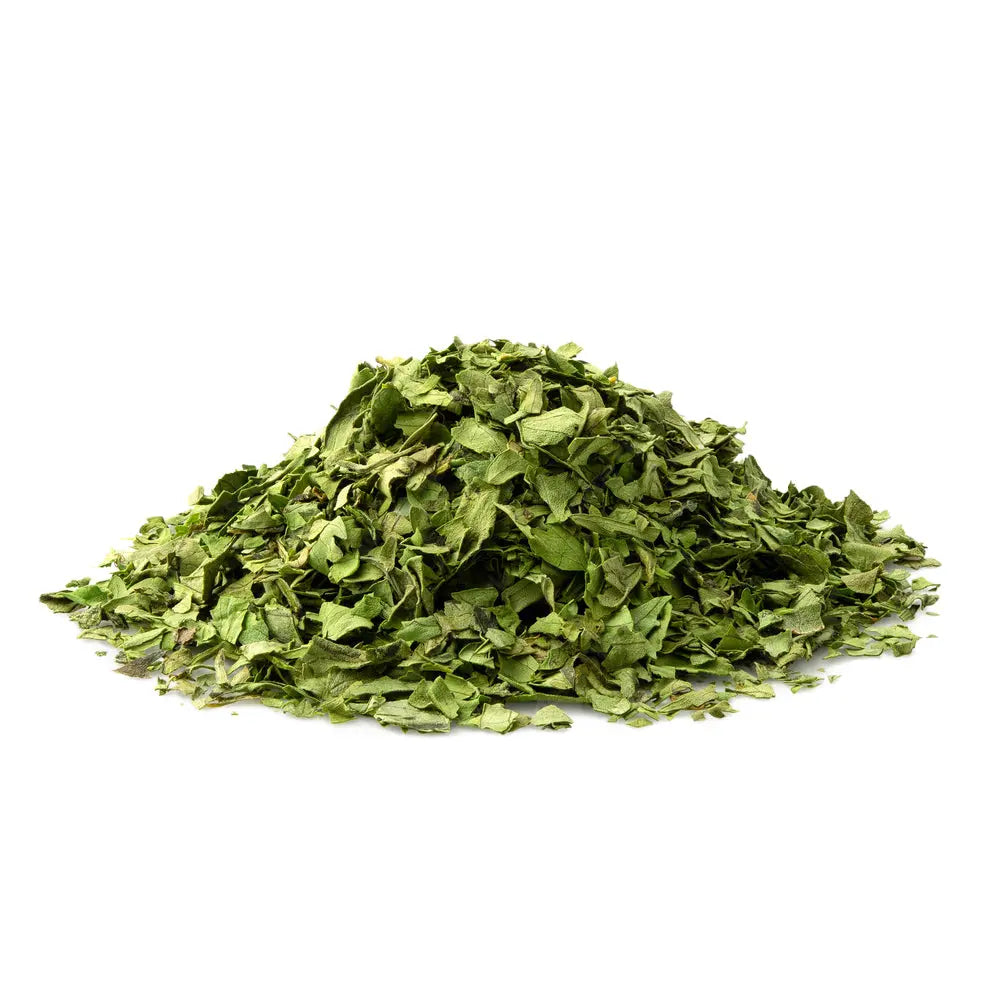Coriander - nourishingorchard.com.au