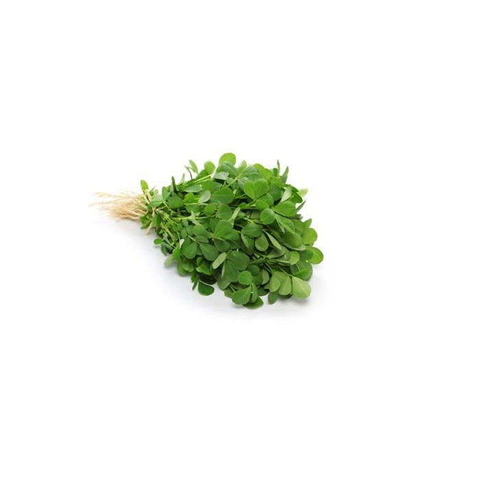 Premium dried fenugreek leaves, flavorful herb commonly used in Indian cuisine.