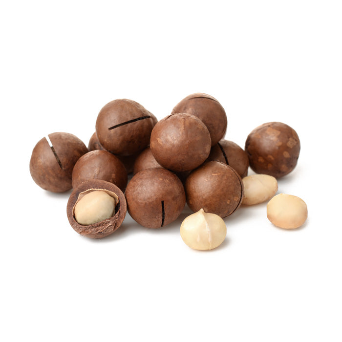 Raw Macadamia - Fresh unshelled raw macadamias