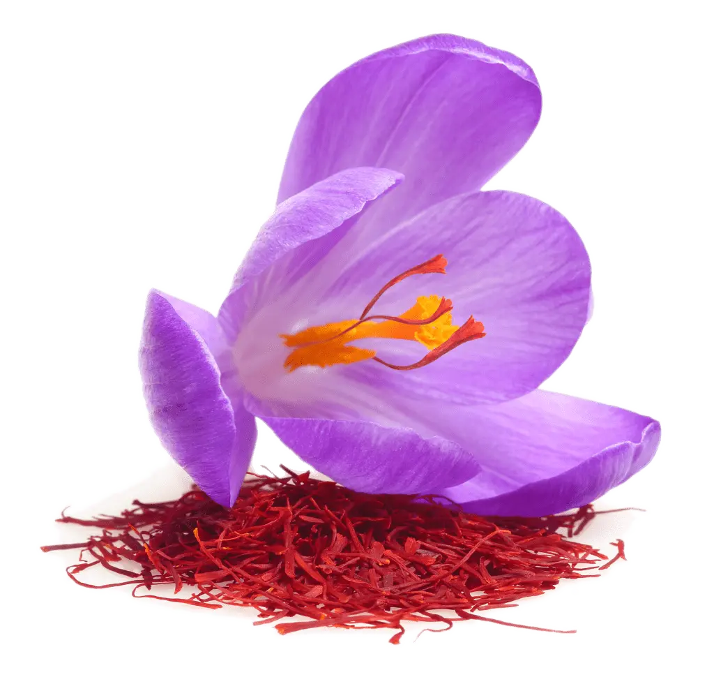 Saffron 50g - nourishingorchard.com.au