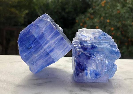 Discover the Nature of Blue Salt nourishingorchard.com.au