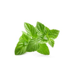 Naturally dried pennyroyal leaves, commonly used in traditional herbal preparations.