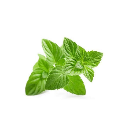 Naturally dried pennyroyal leaves, commonly used in traditional herbal preparations.
