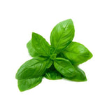 Dried basil leaves with green flakes, aromatic herb used in Italian cooking.