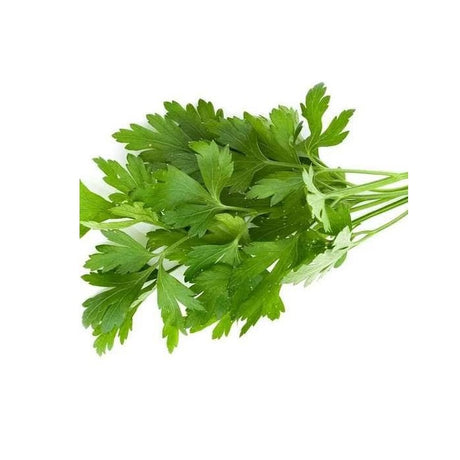 Crushed dried parsley seasoning, green herb flakes used in everyday cooking.