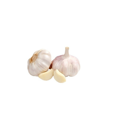 Aged black garlic bulbs, naturally darkened and perfect for gourmet cooking.