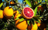 Dried blood orange slices , deep red and orange citrus rounds with a translucent flesh, slightly caramelised edges, and a rich, tangy-sweet aroma, perfect for garnishing drinks and desserts