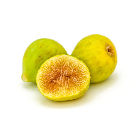 Wild Fig 