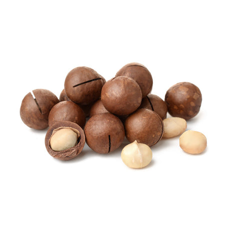 Raw Macadamia - Fresh unshelled raw macadamias 