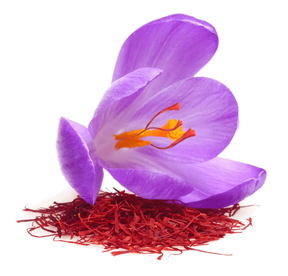 Saffron 50g - nourishingorchard.com.au