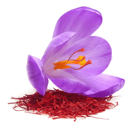 Saffron 50g - nourishingorchard.com.au